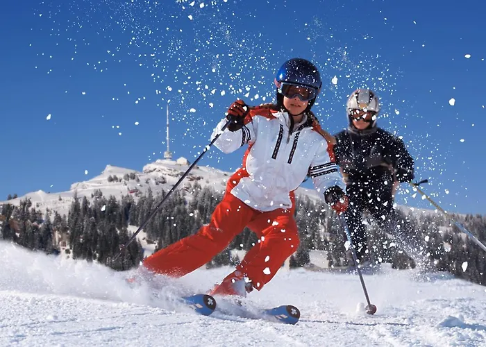 Chalet Bergli